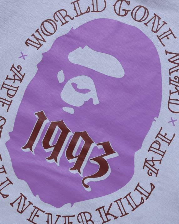 A Bathing Ape Mænd hoved pullover hættetrøje HH6J273 lyseblå