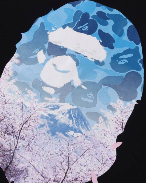 A Bathing Ape Mænd sakura foto hoved t-shirt HH6J206 sort