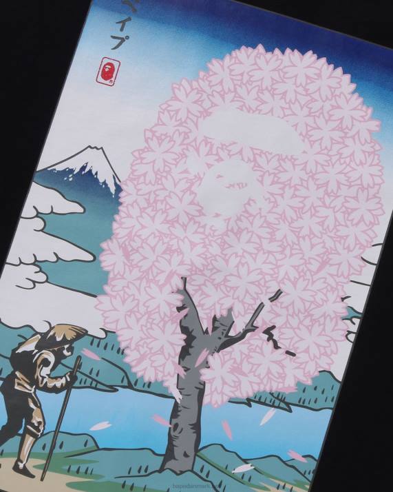 A Bathing Ape Mænd sakura t-shirt HH6J216 sort