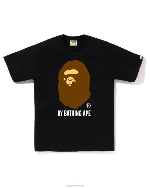 A Bathing Ape Mænd ved at bade t-shirt HH6J20 sort